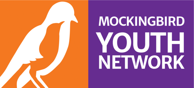 Youth Network PNG